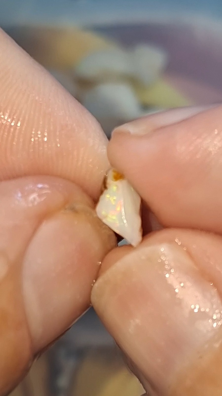 53ct Coober Pedy Opal rough. multicoloured multisized peices, good cutters
