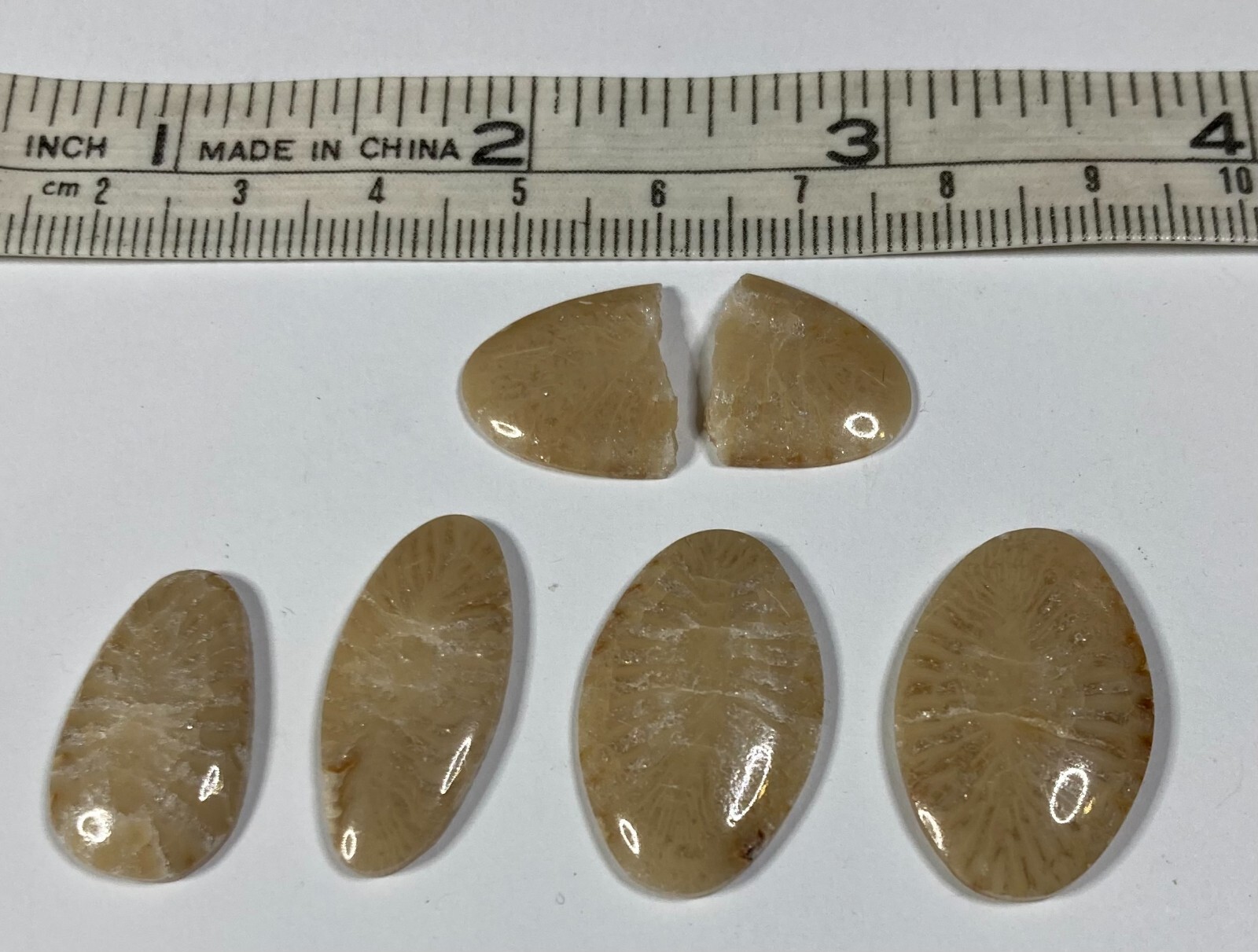 4+ Unlabeled Cabochons approx. 24 X 16 X 3 mm CC-87