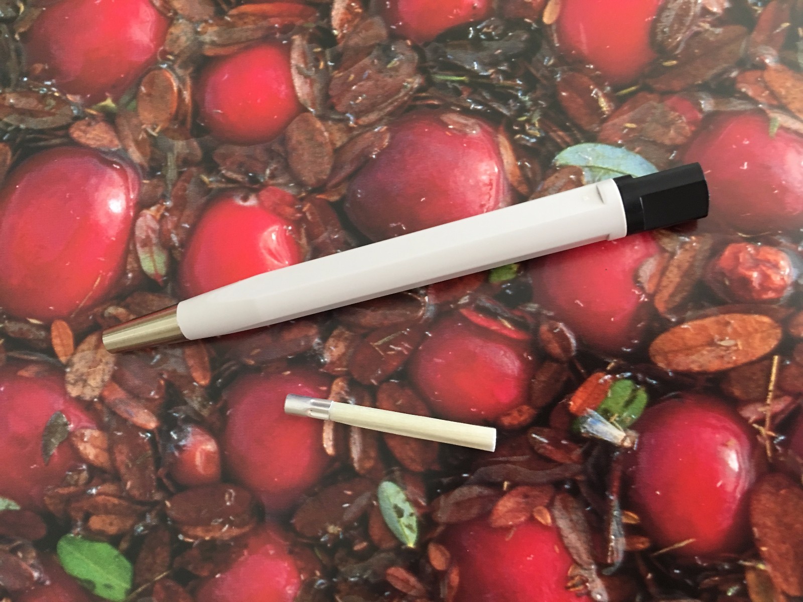 Brushed Titanium Steel Refinishing Pen & Free Refill for Corum Watch etWH