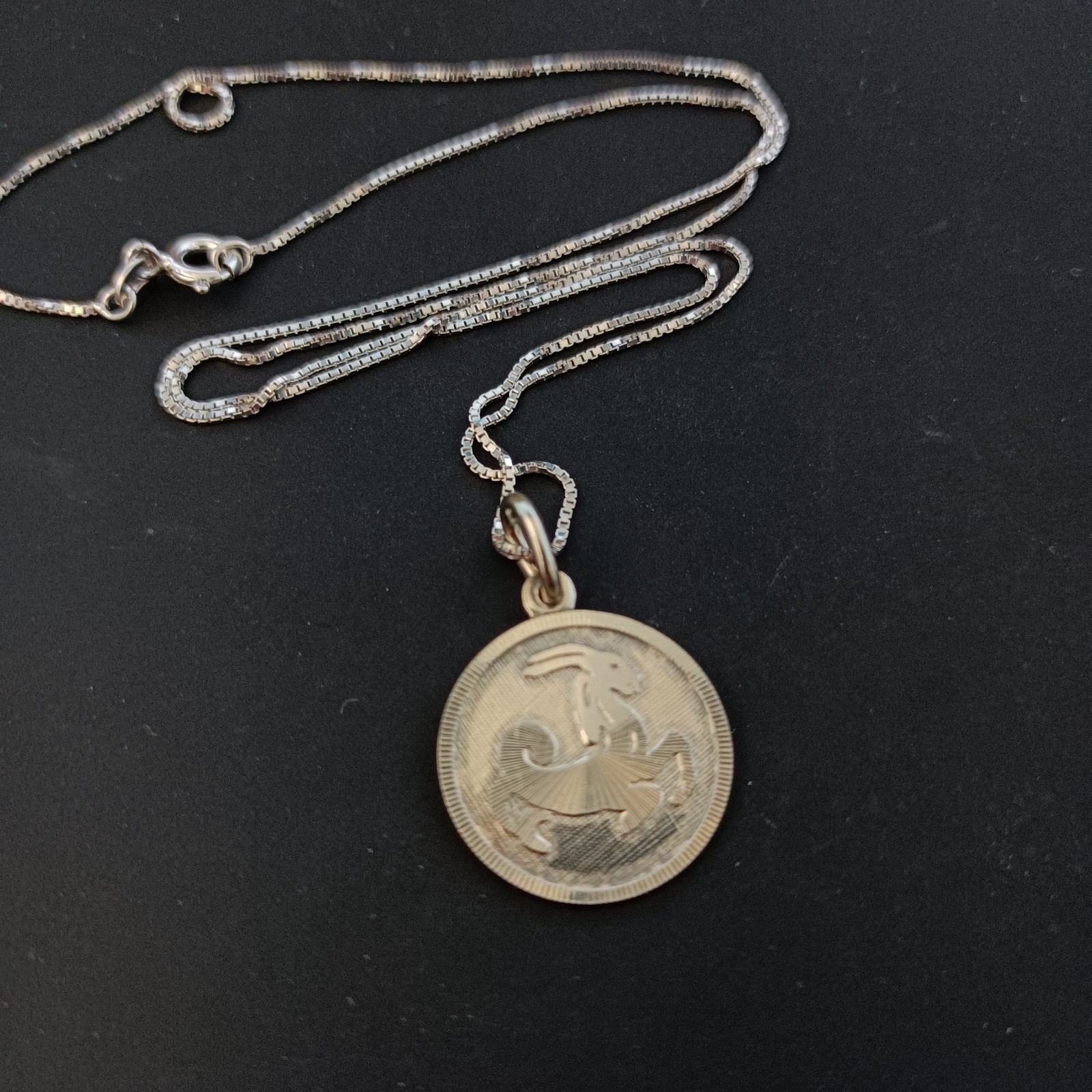 Capricorn Zodiac Vintage Necklace Sterling Silver Astrology Pendant Me’sn Women