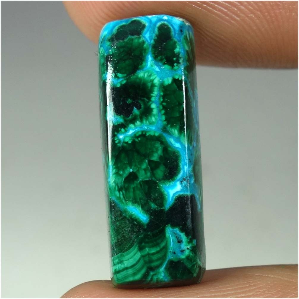 Natural Malachite Chrysocolla Cushion Cabochon Gemstone 15.60Cts 08mm 24mm 05mm