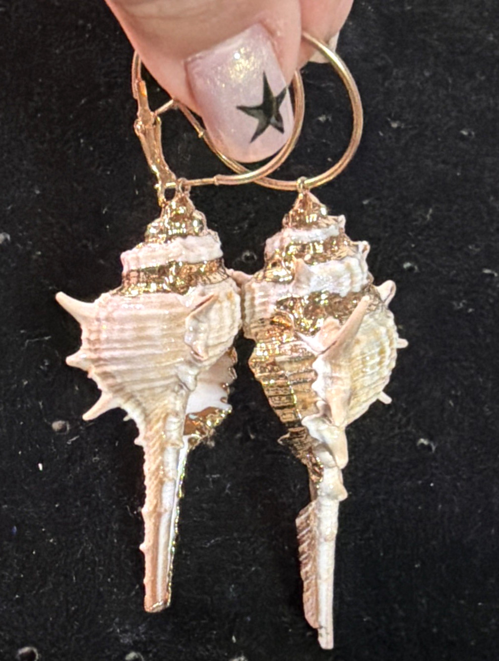 Conch Shell Hoop Dangle Gold Tone Earrings Pierced 3.5 In. Gold Accent