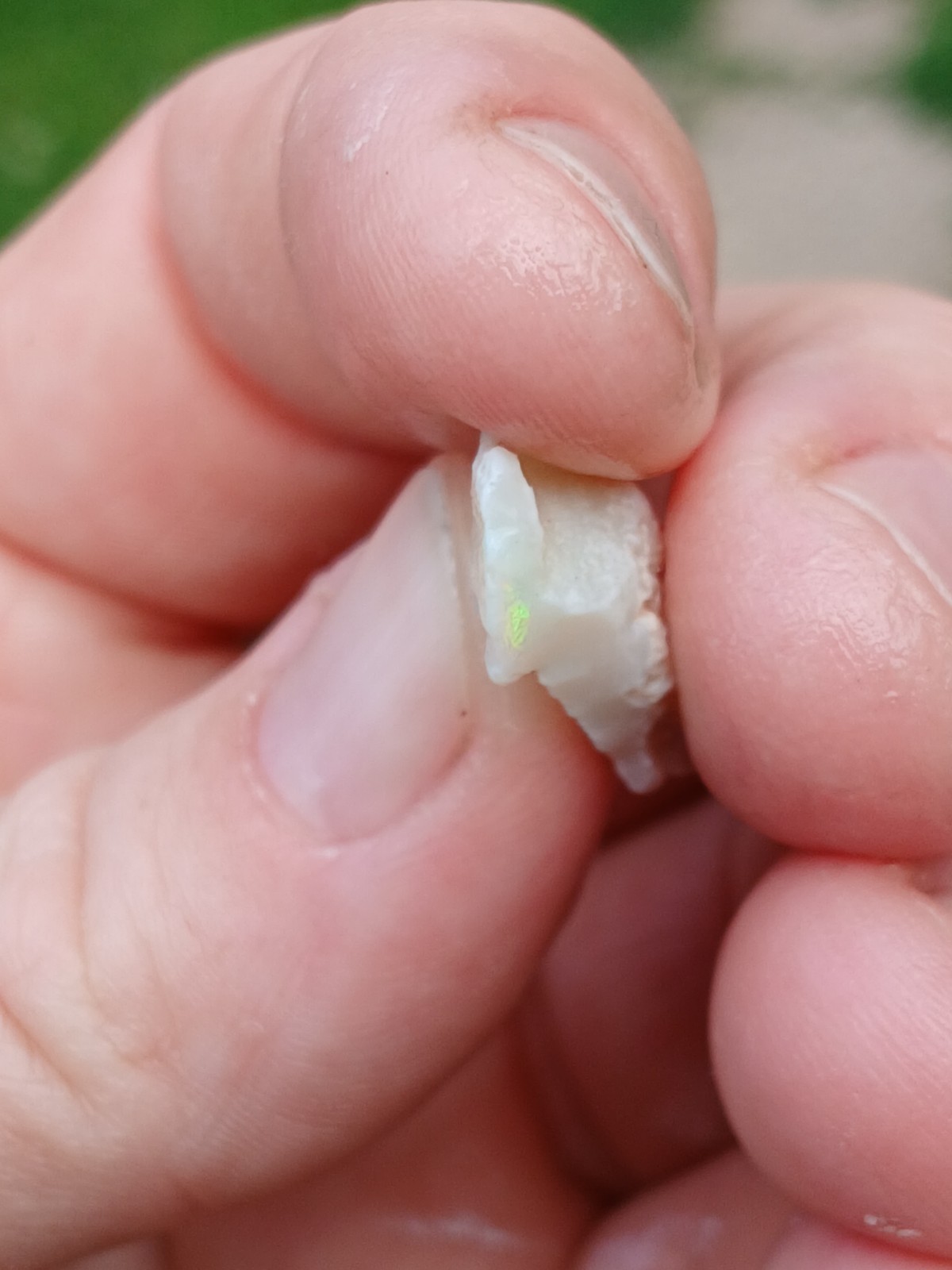 Australia Opal Mintabie Chips R802 5 Carat Faint Pink, Green Low Grade