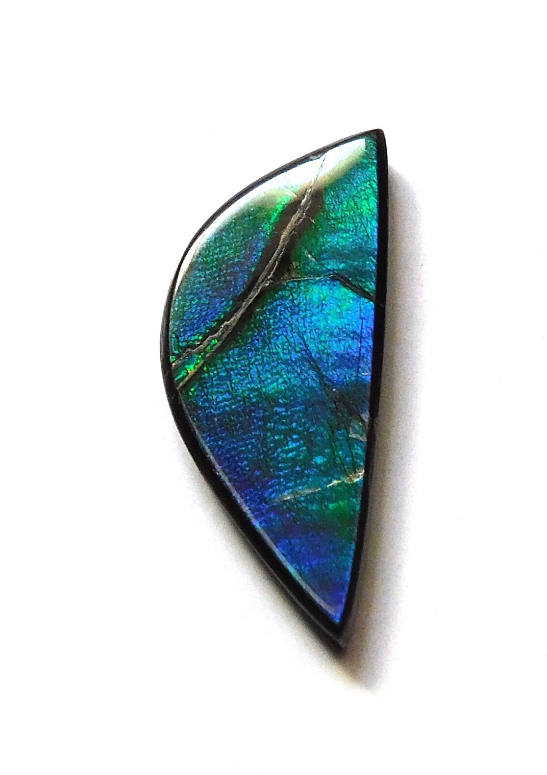 9.05 Ct Natural Canadian Ammolite Cabochon Loose Gemstone 26.8X11X3.4MM LB14