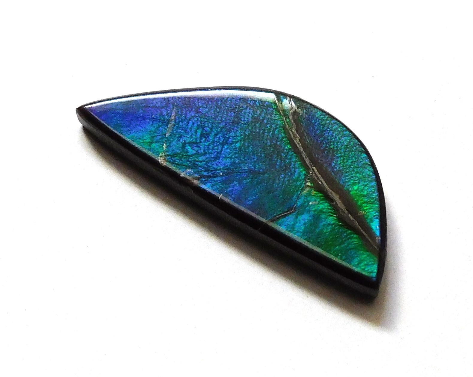 9.05 Ct Natural Canadian Ammolite Cabochon Loose Gemstone 26.8X11X3.4MM LB14