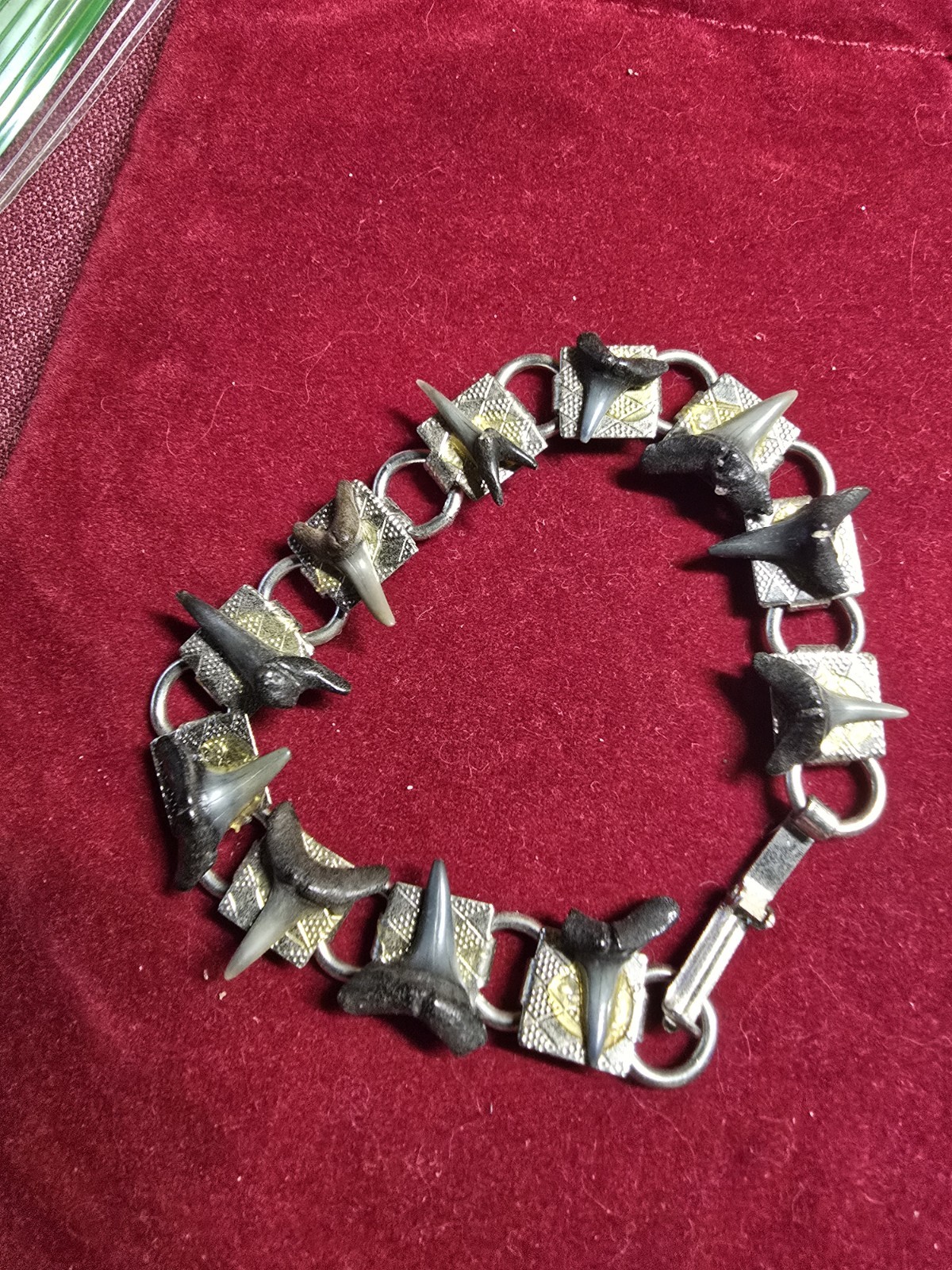 7″ Shark Tooth Bracelet Home Made From Casperson Beach 10 + Mill Yr Old Teeth