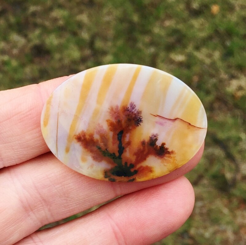 All Natural! Extra Fine Quality Dendritic Agate India GLI