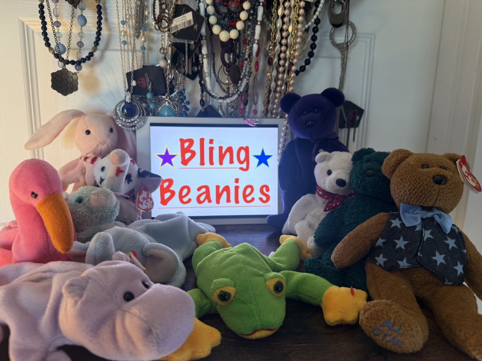 BLING BEANIES (Mystery Jewelry Jar) Free Shipping In US ALL Wearable New & Used