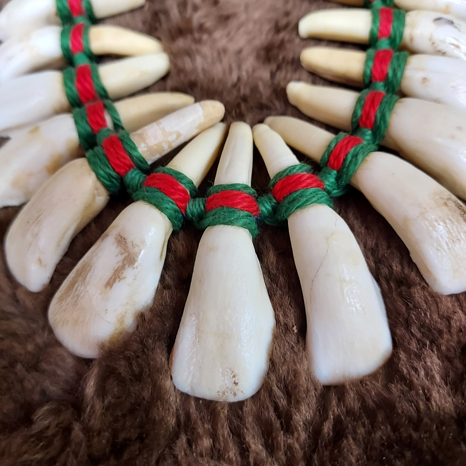 REAL Natural Vintage Tribal Ethnic Necklace Tooth / Unknown Animal TEETH