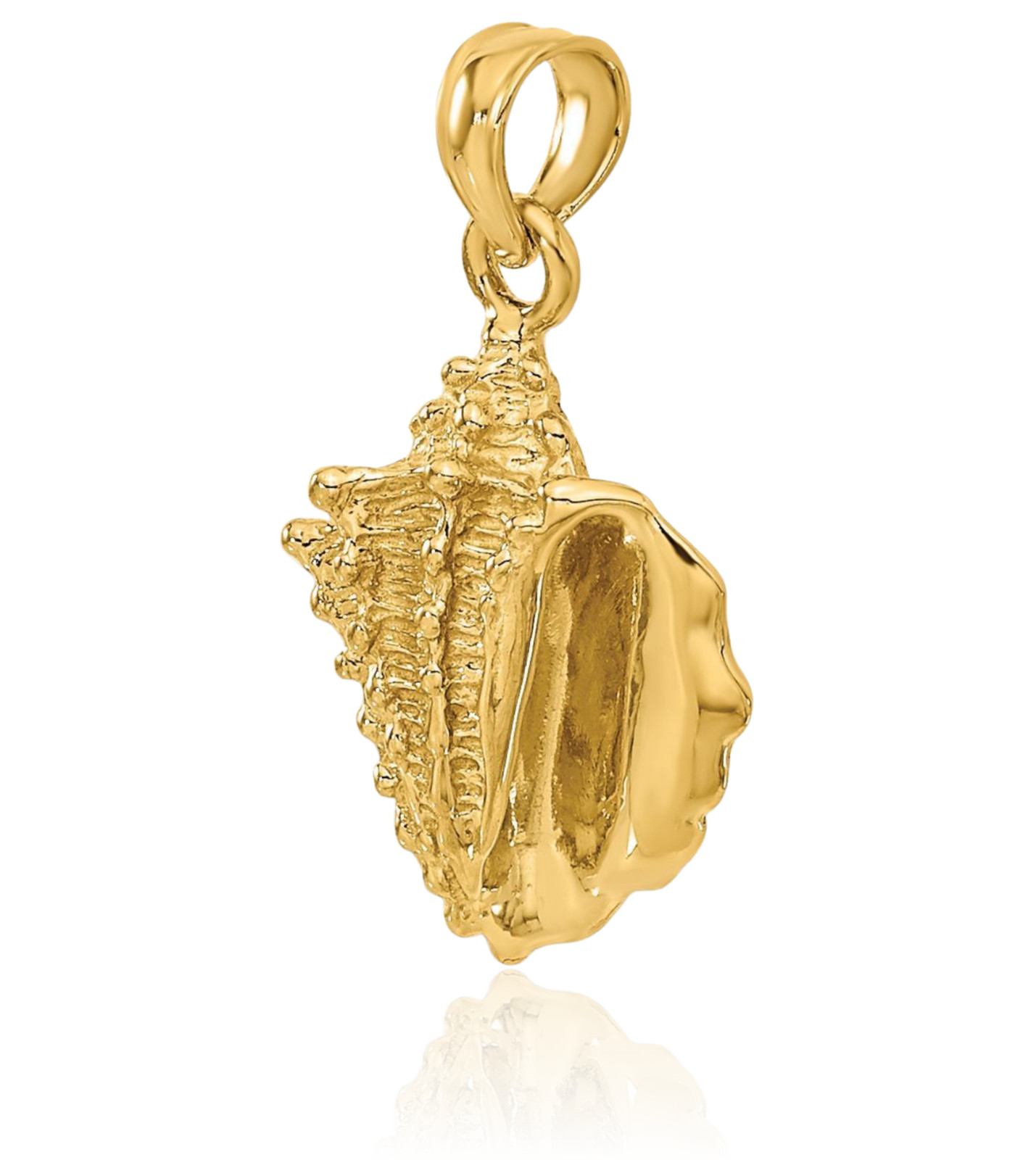 10K Solid Yellow Gold Medium Conch Shell Pendant Necklace 24mm 0.9 inch Polished
