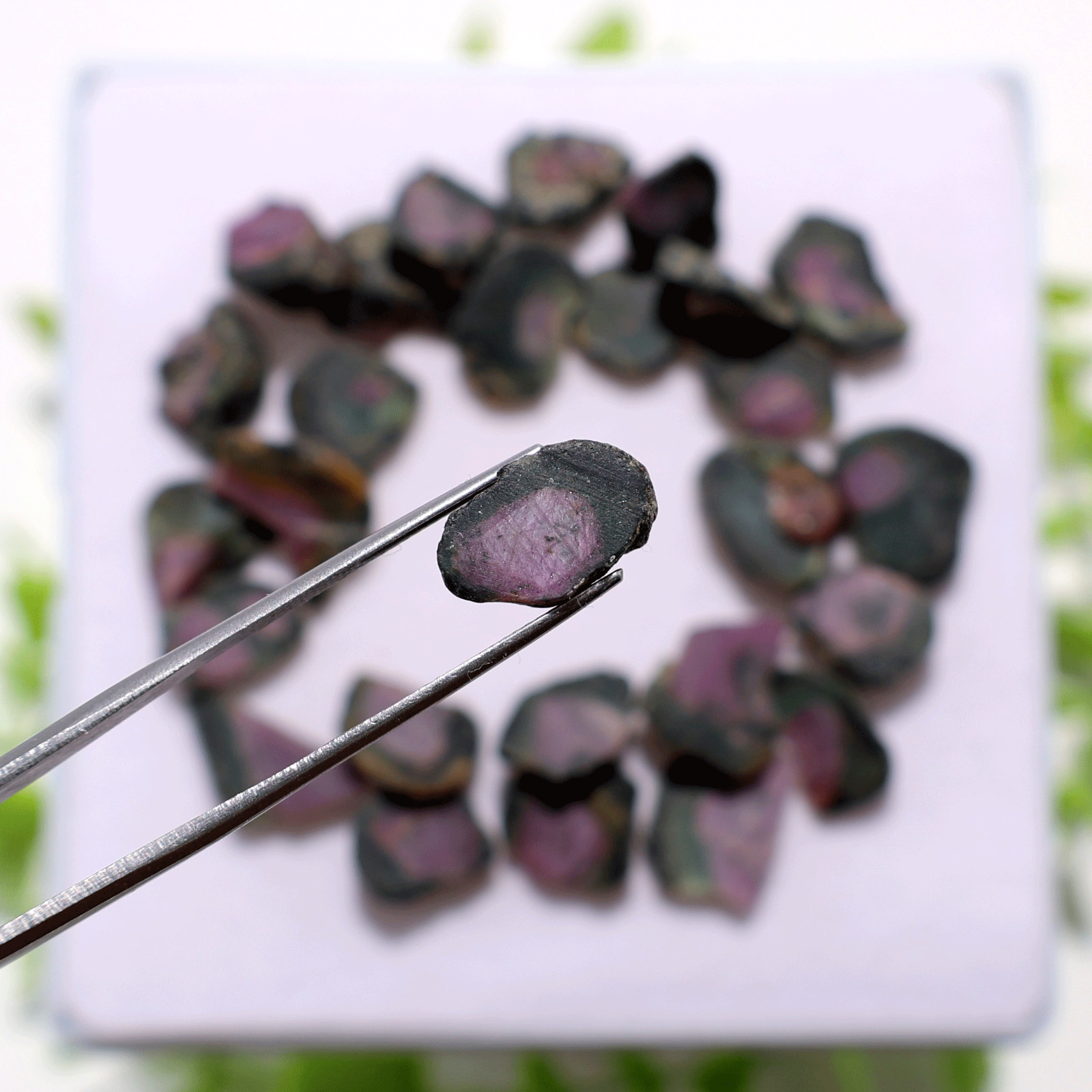 27 PC Natural Watermelon Ruby Untreated 11.5mm-17.4mm Rough Loose Gemstones Lot