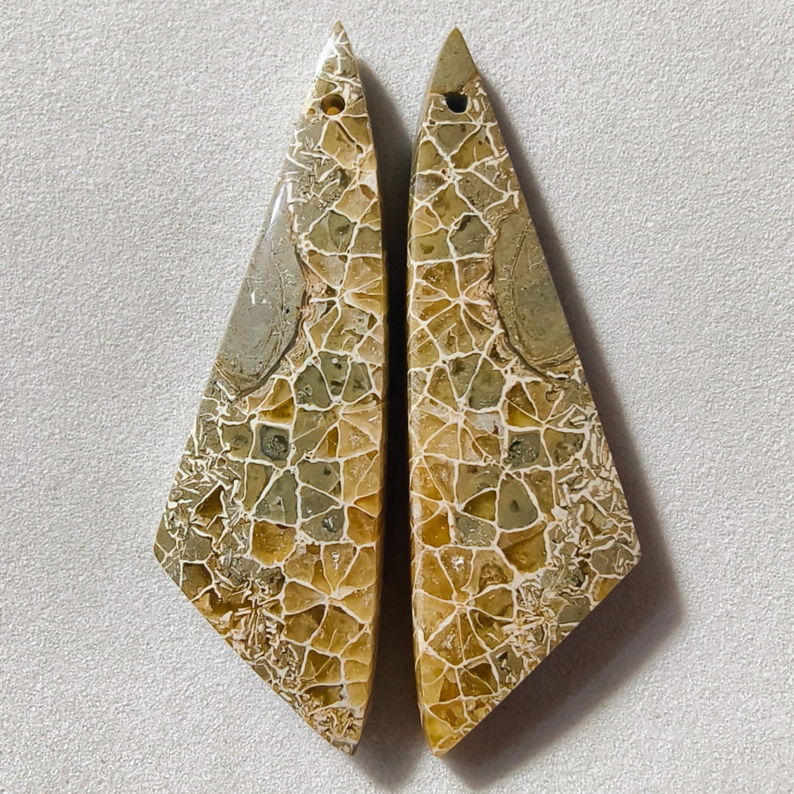 40 Cts Natural Fossilized Coral Drilled Pair Cabochon Gemstone 43 X 13.4 MM