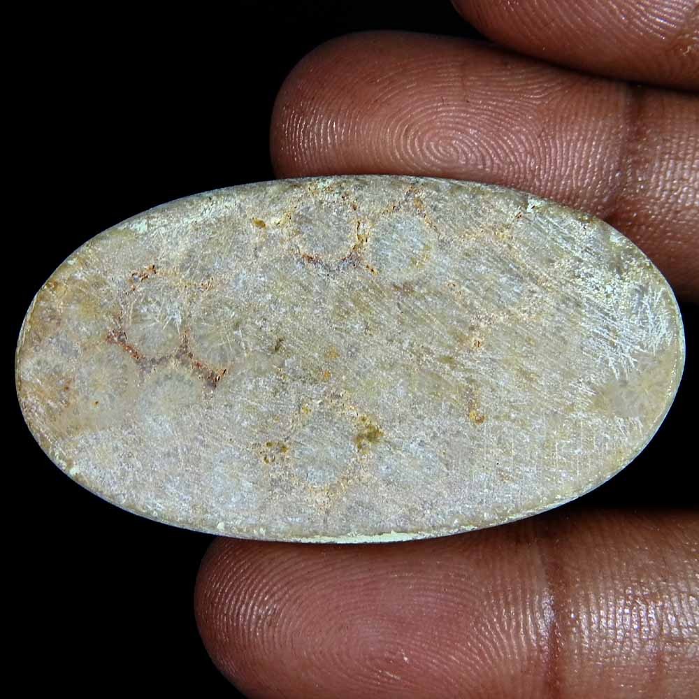 57.20 Cts Natural Fossilized Coral Cabochon, Intricate Fossil Oval Cab