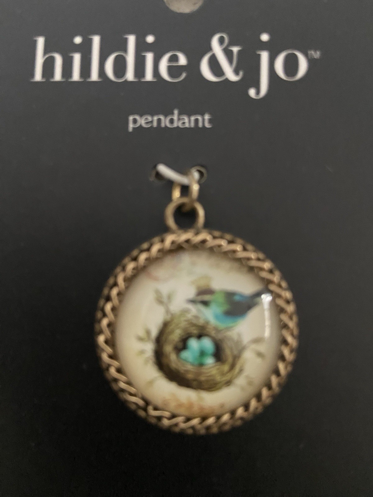 Hildie & Jo Nature Pendant Set –2 Flowers & Bird Nest Design – Resin Jewelry