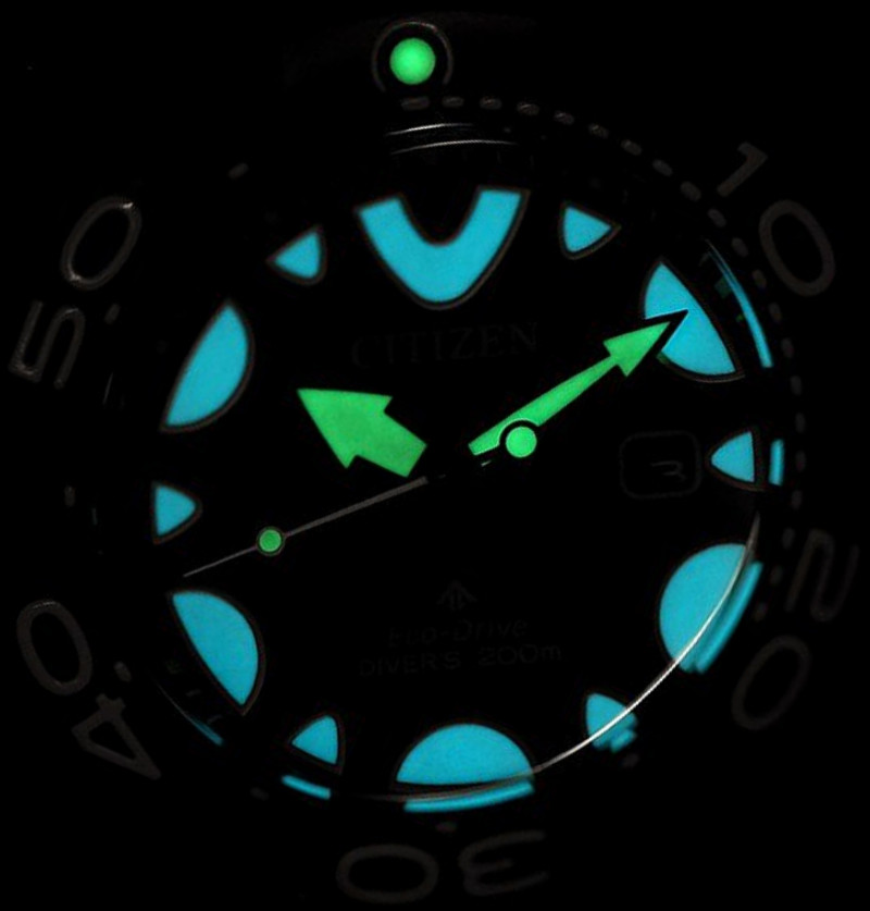 Citizen Promaster BN0235-01E Orca Diver Black Dial Watch