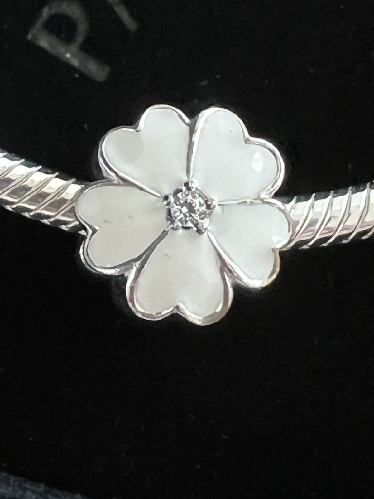 Pandora “FLOWERS From The HEART” BRACELET GIFT SET – Size 19 cm/7.5 inches – NEW