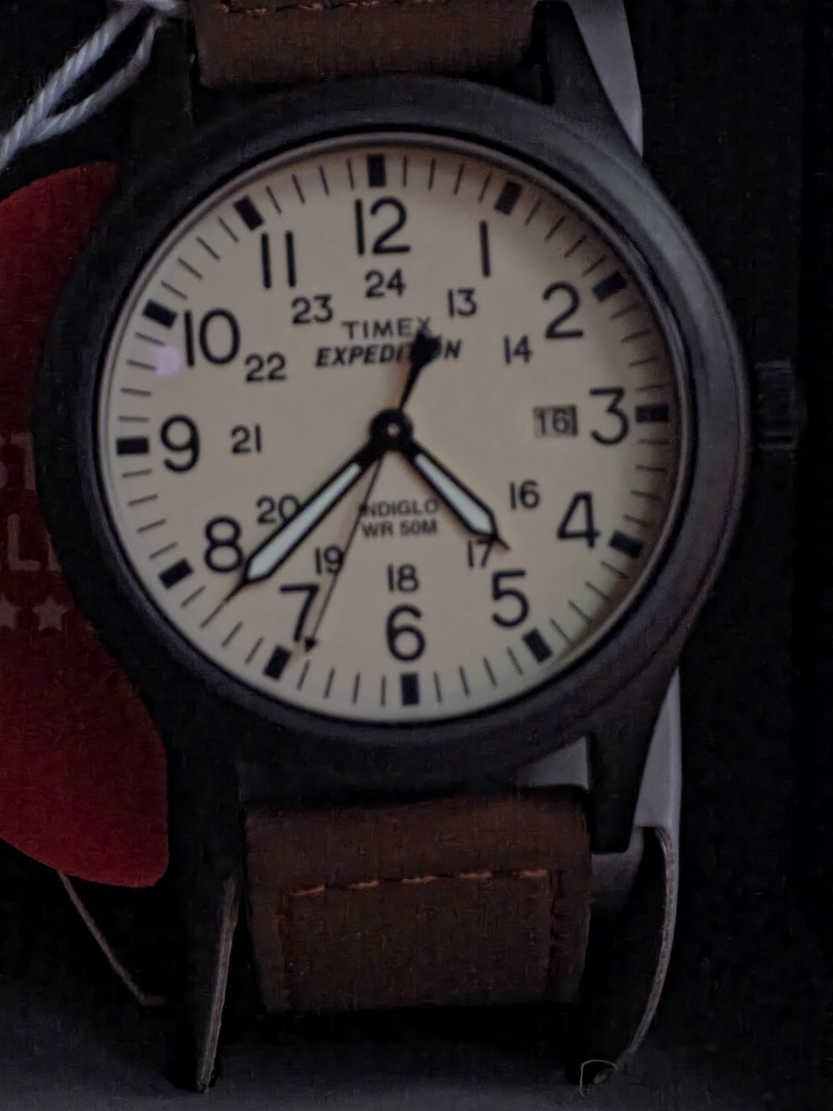 Timex Men’s T49963 Expedition Scout 40mm Leather Strap Watch