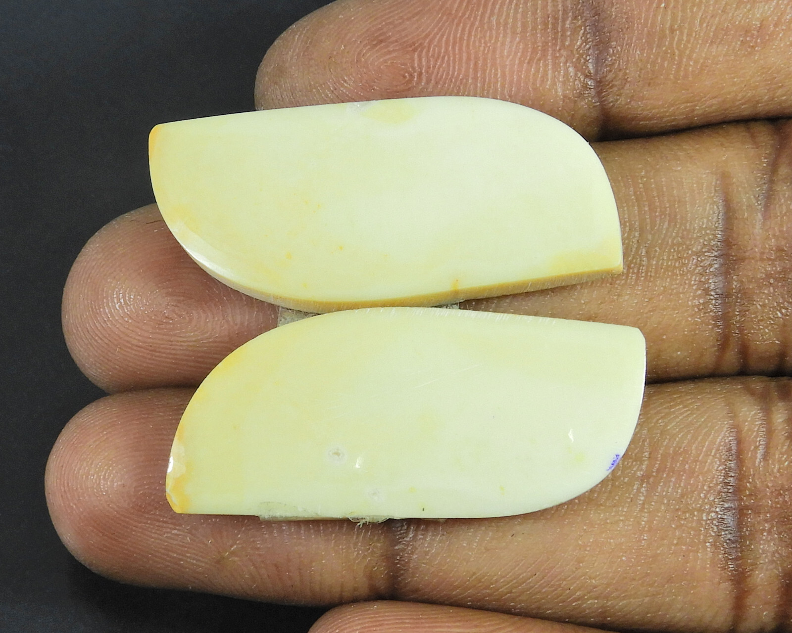 36 Ct. Natural Picture Jasper Pair Cabochon Loose Gemstone Size 30X15 mm Rk-132