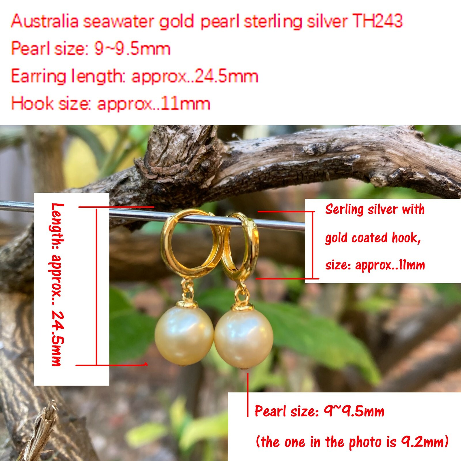 High luster 9~9.5mm Australia seawater light gold Pearl silver S925 Earring #243