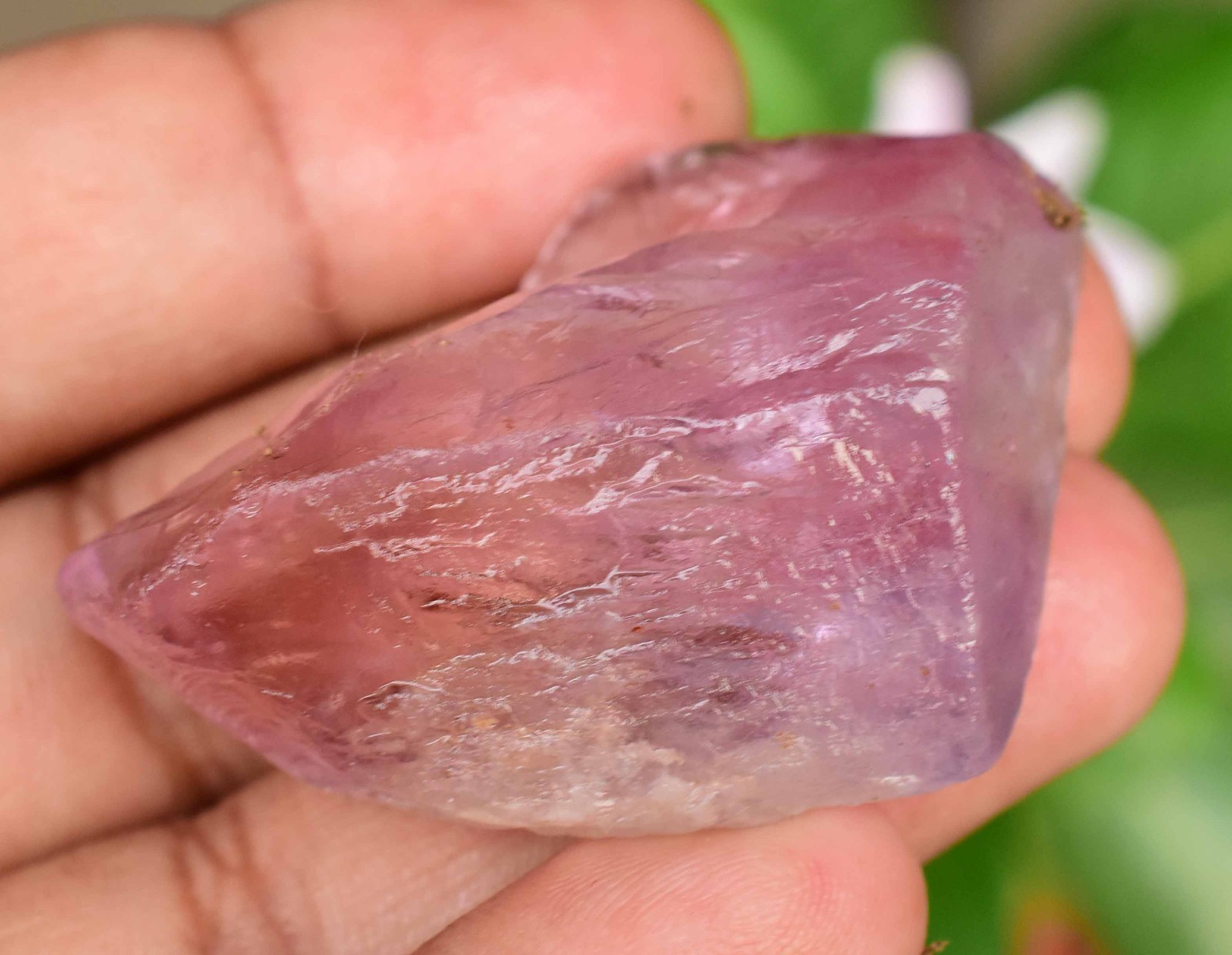 100% Natural Bi-Color Bolivian Ametrine 134.5 CT AGL Certified Facet Grade Rough