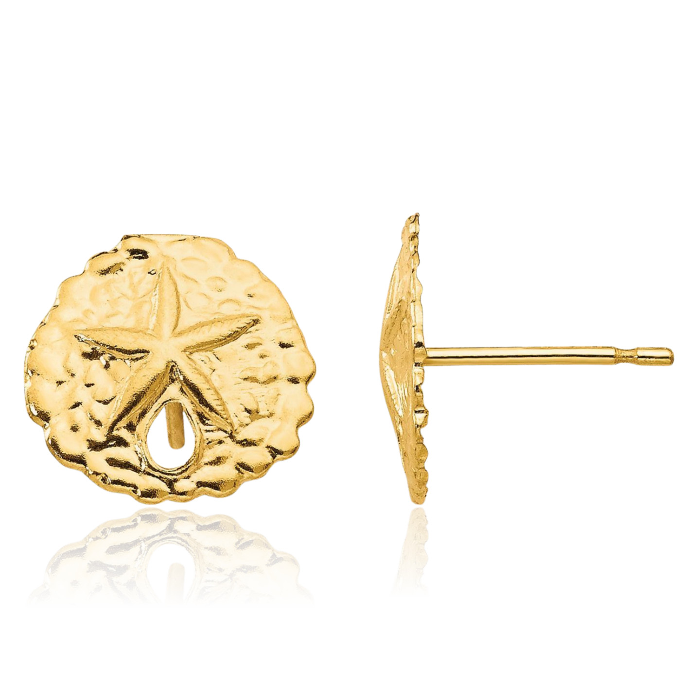14K Solid Yellow Gold Large Sand Dollar Starfish Stud Earrings 10mm 3/8 inch