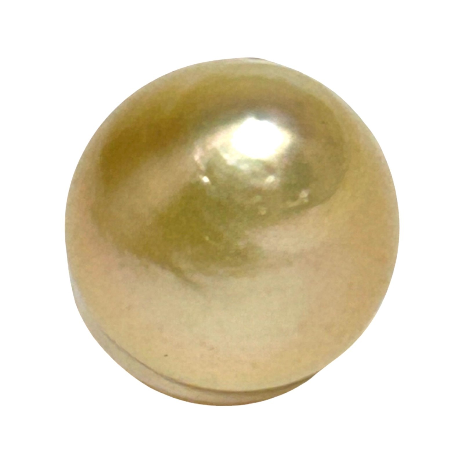 Oval 13.7 x 16.6mm 21.2 Carats Philippines South Sea Pearl Rich Gold Huge Loose