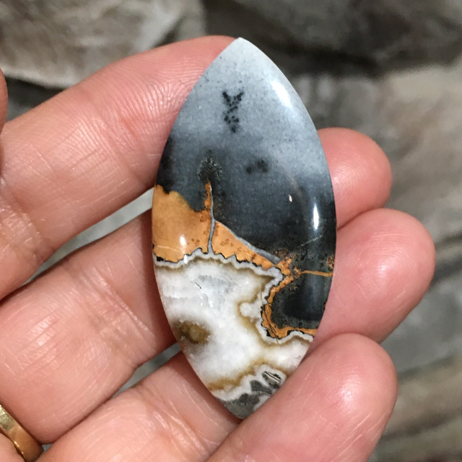 48×23.5×6.9mm Scenic Maligano Jasper Oval Cabochon Collectors Picture Stone