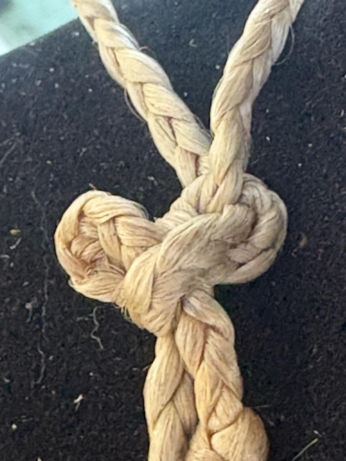 Vintage Native American Buffalo Bone Choker Necklace