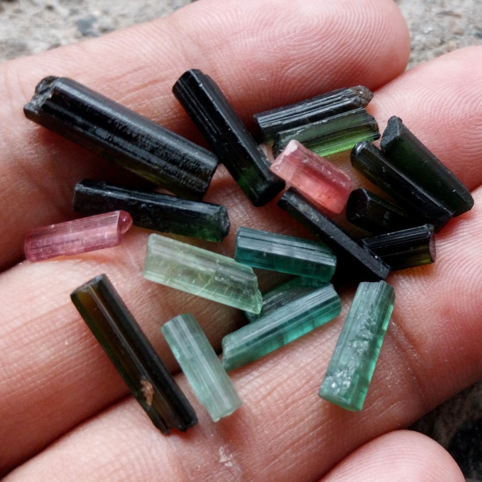 35 Carat Natural Multi Color Tourmaline Raw Rough Tube/Pencil 19 Piece Lot