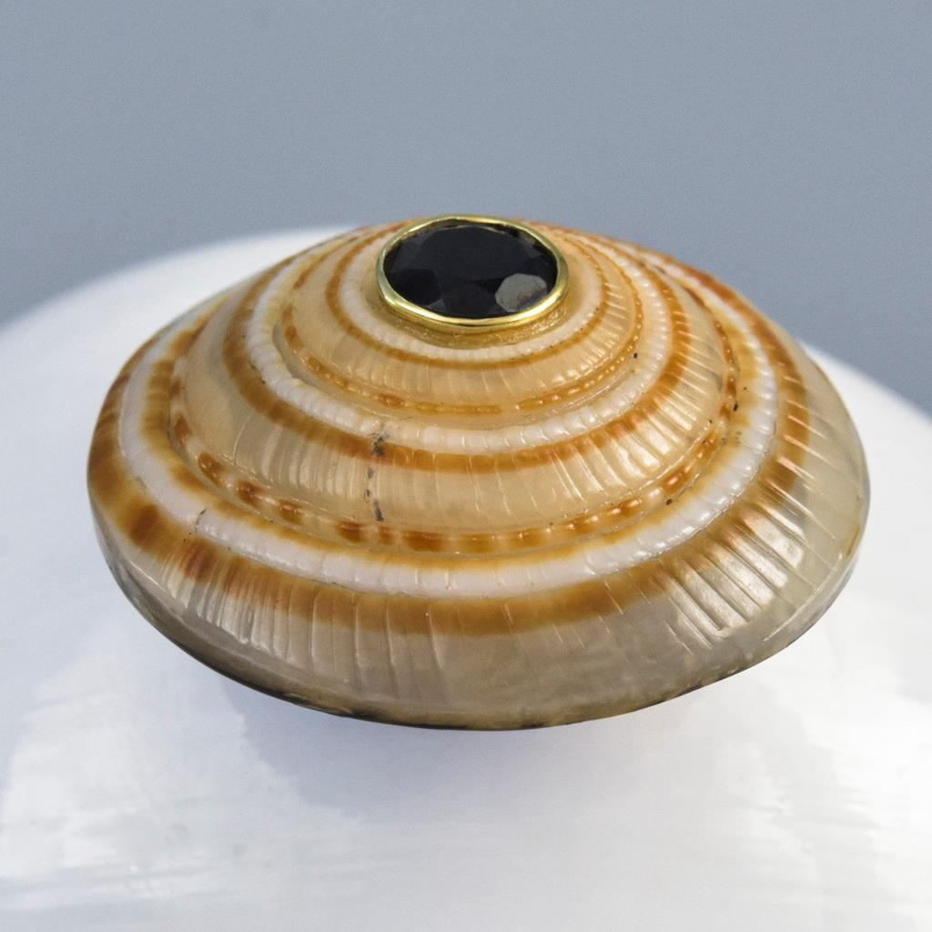 Evil Eye Design Natural Sea Snail Architectonica trochlearis Black Spinel 6.00g