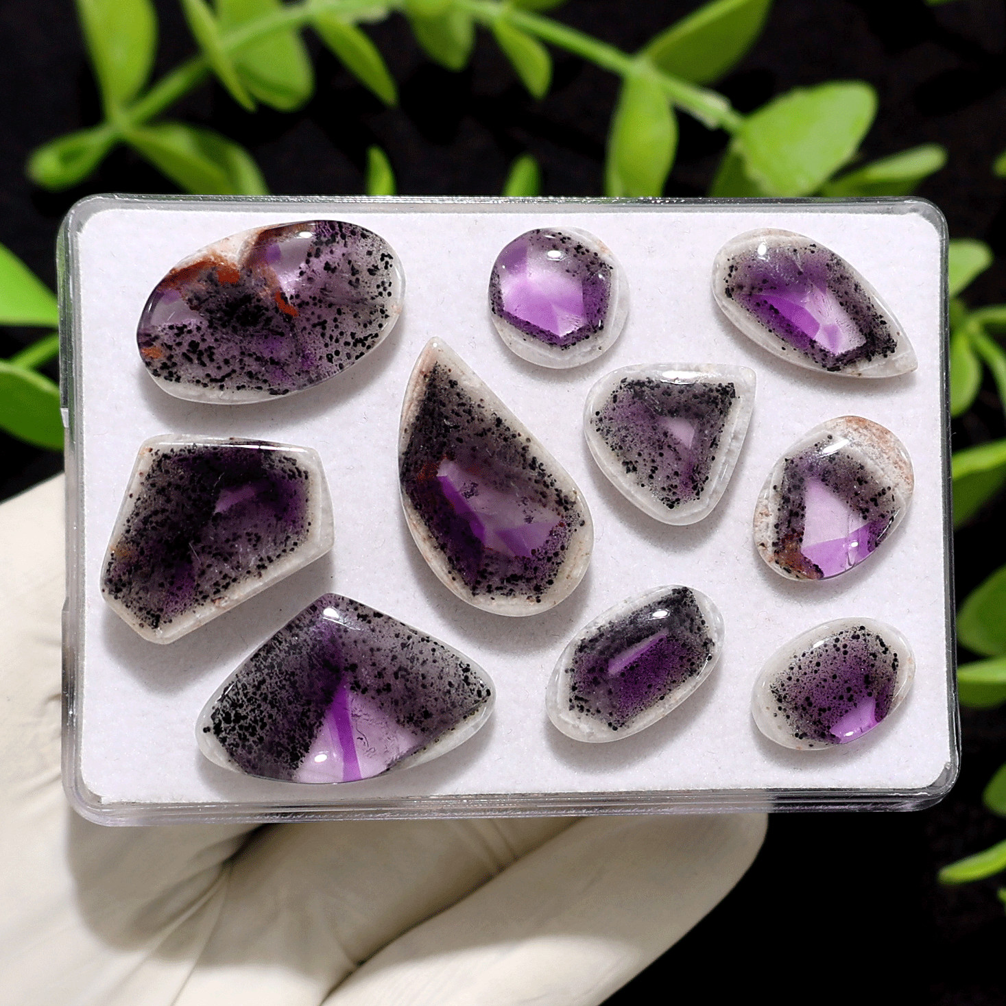 Asteroids In Space~ 10 PC Trapiche Amethyst 13mm-27mm Rare Cosmic Pattern Cabs