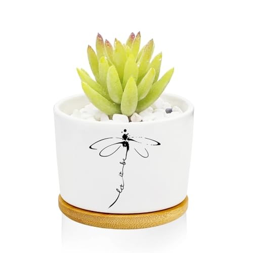 Window Garden Planter Pots,Gifts for 3.2inch Dragonfly