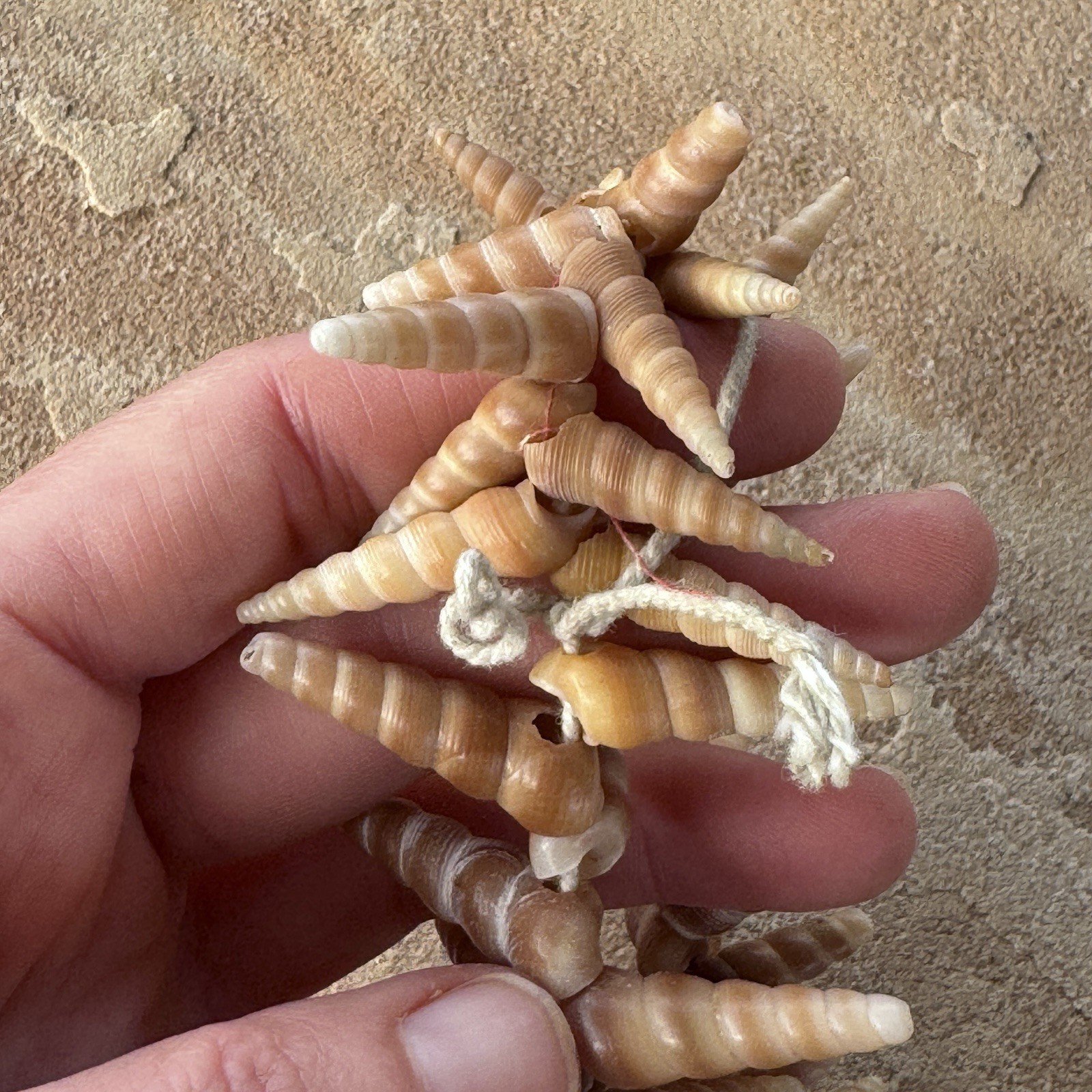 Mermaid Shell Necklace 48” Long Spiral Turritella Strand Boho Mermaid Beach