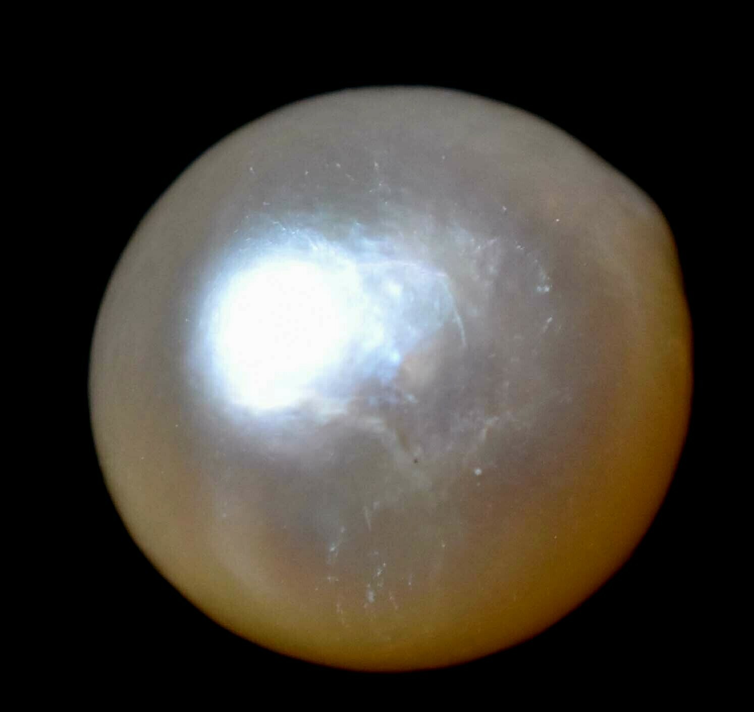 Natural Australian South Sea White Pearl 8.20 CT Certified Untreated Gemstone