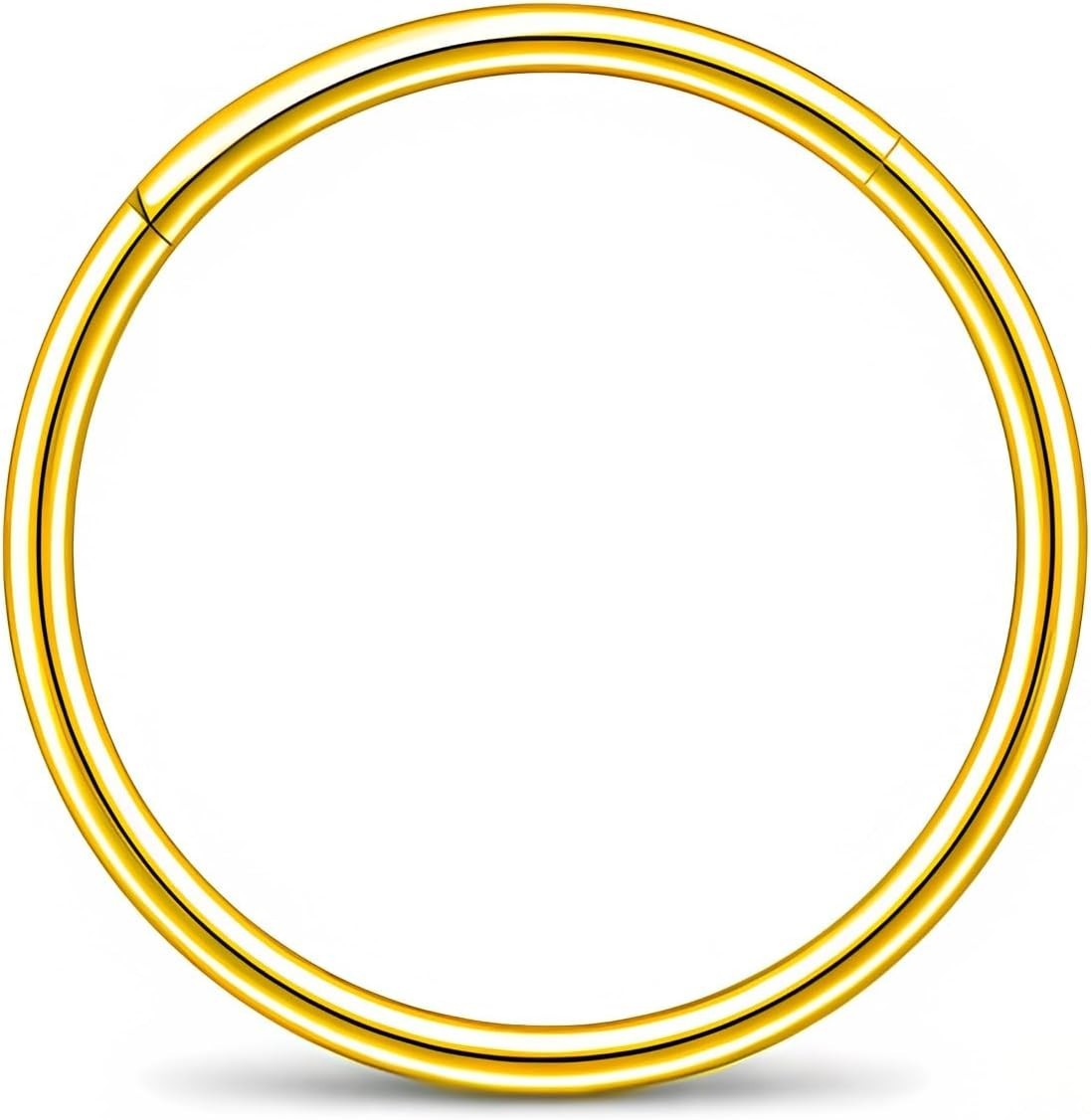 Titanium 22g/20g/18g/16g/14g Nose Ring Hoop for Men and Women,Hinged Clicker …