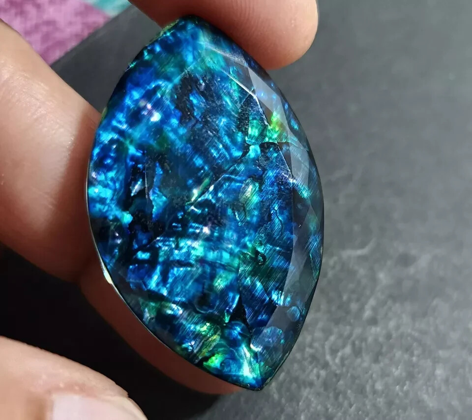 48.45 Ct Natural Ammolite Opal-Like Organic Marquise Doublet Loose Rare GEMSTONE
