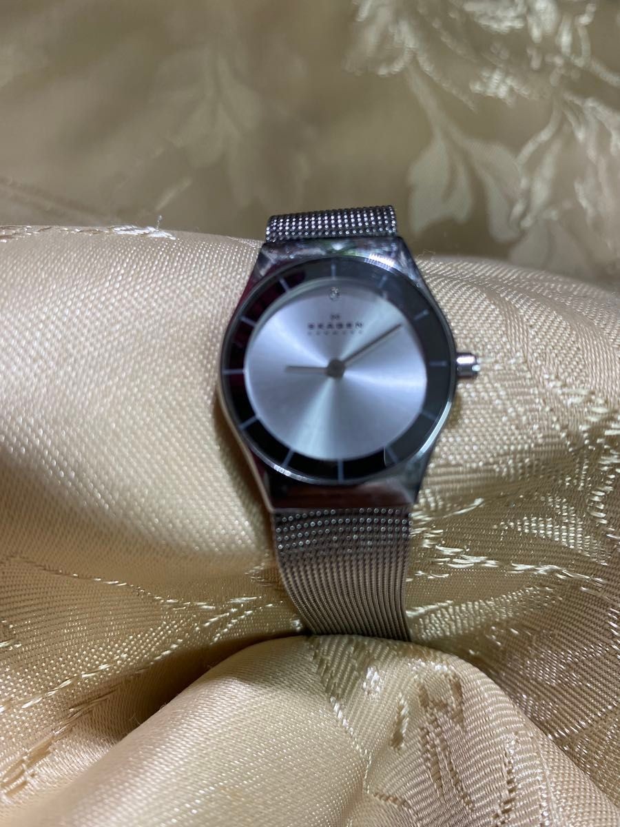 SKAGEN Women’s Silver Mesh Belt Watch