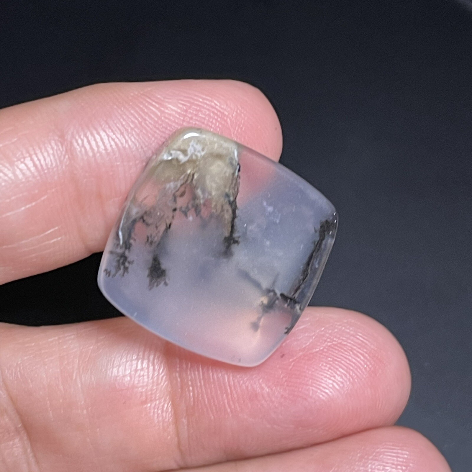 21.3ct 21x21x5.8mm Picture Like Dendrite Agate Smooth Cabochon Collector’s Stone