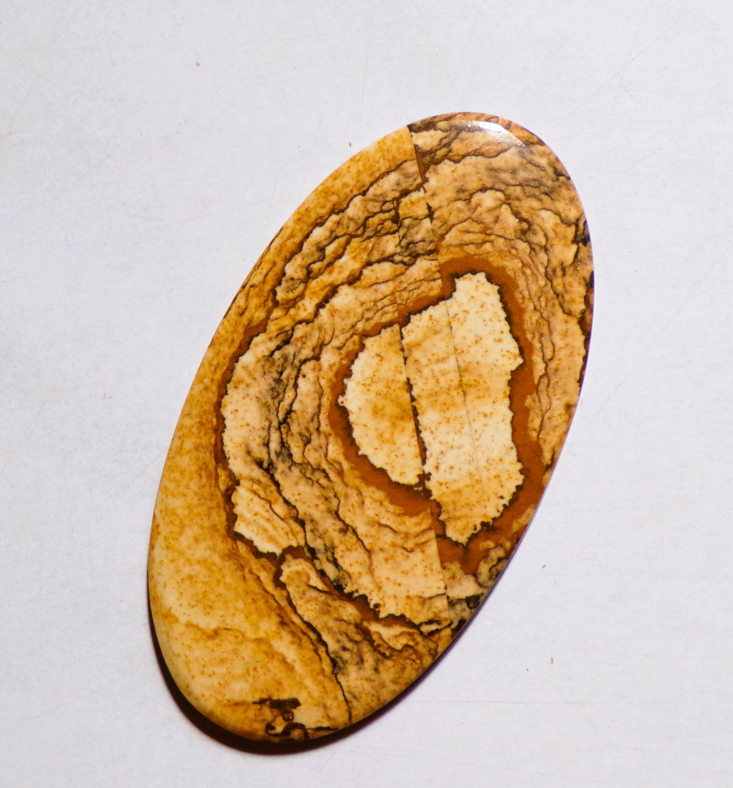 51.25 Cts Natural Picture Jasper Cabochon Loose Gemstone 55X30X4MM
