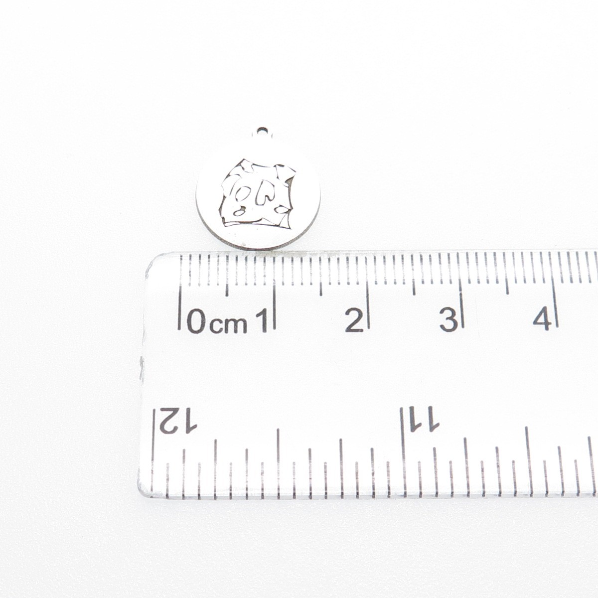 TWO IN TOWN 925 Sterling Silver Engraved Dog Round Tag Minimalist Charm Pendant
