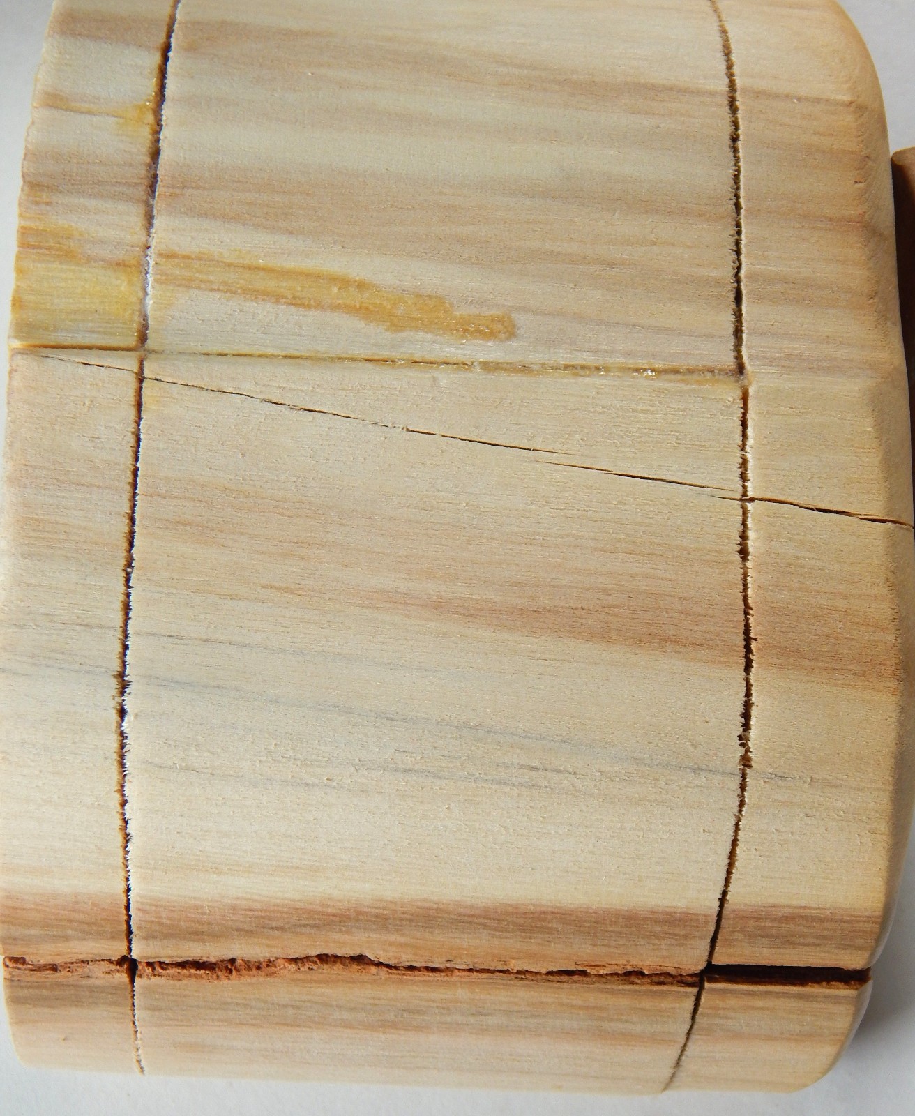 NATURE TURNS ASPEN WOOD JEWELRY TRINKET BOX + SECRET HIDDEN DRAWER CARVED LOG