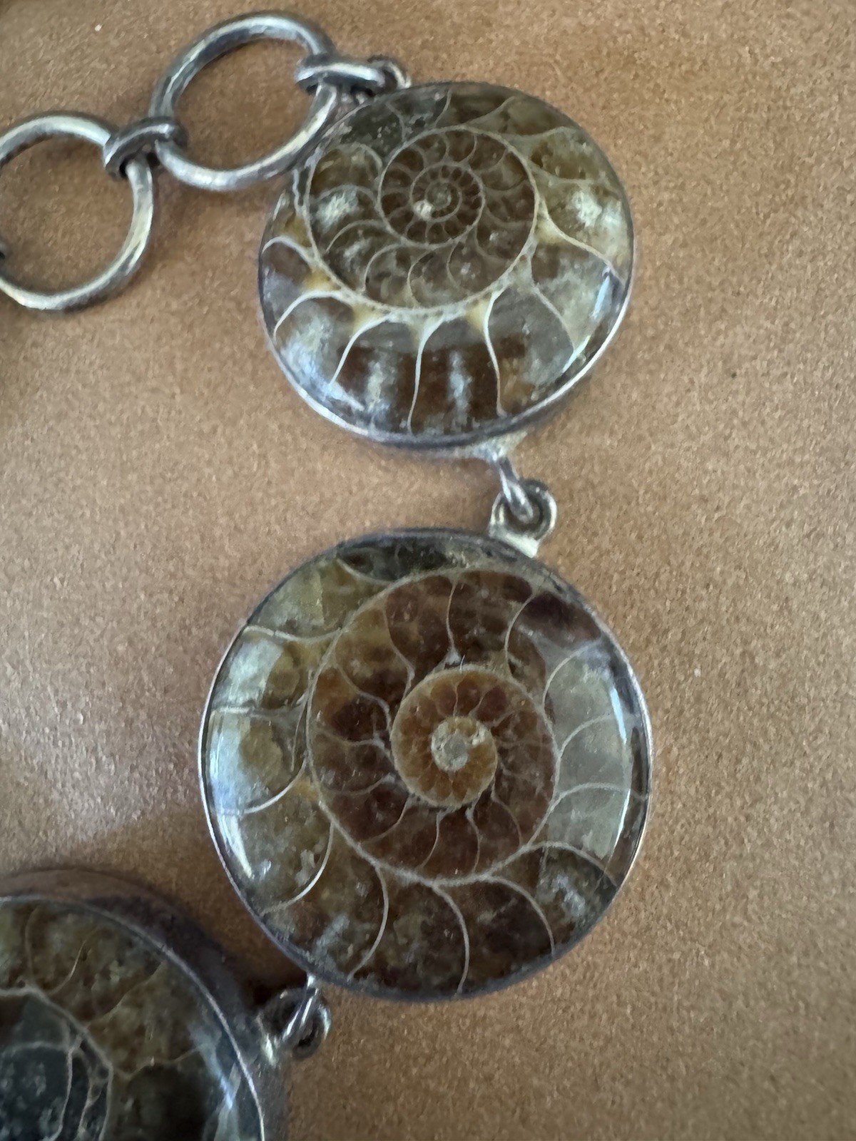 925 Silver Natural Ammonite Fossil Chain Bracelet & Earrings