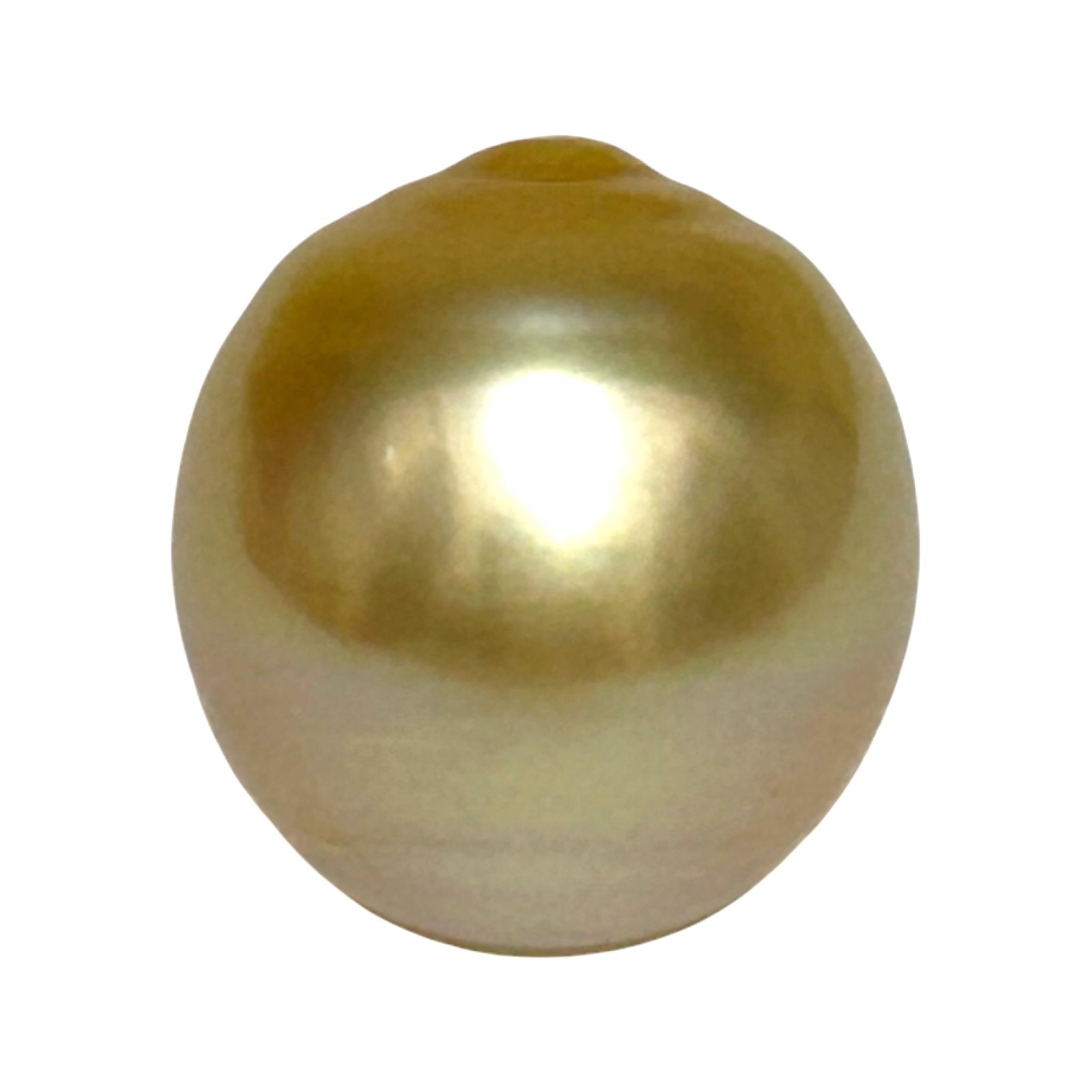 Giant 15.2 x 16.6mm 26.7 Carats Natural Golden Philippines South Sea Pearl Loose