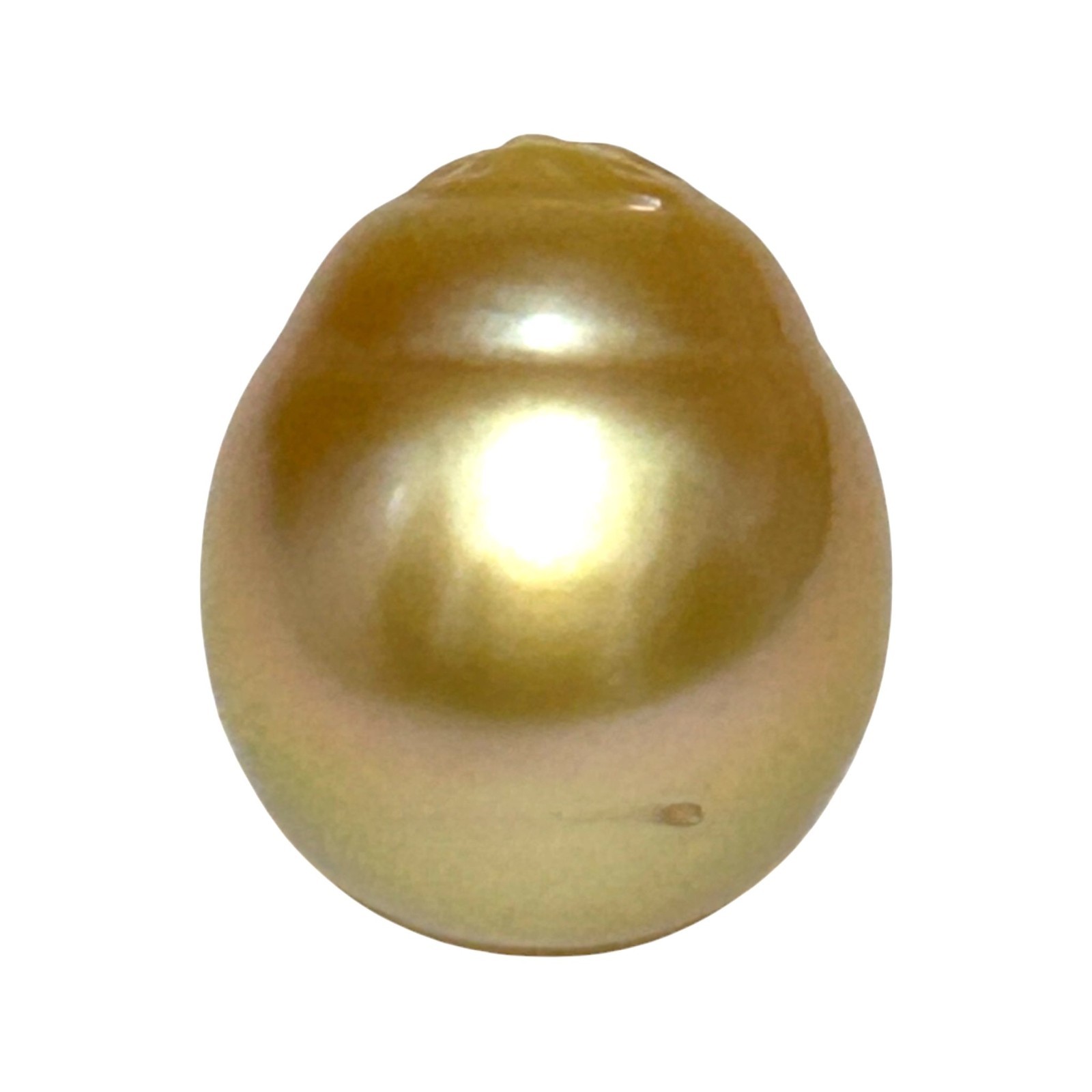 Elegant 26.4 Carat 14.8 x 17.4mm South Sea Pearl Golden Oval Radiant Luster