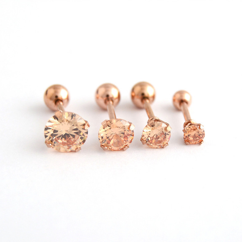 2Pcs Surgical Stainless Steel Round CZ Earrings Screw Back Ear Studs Men Women