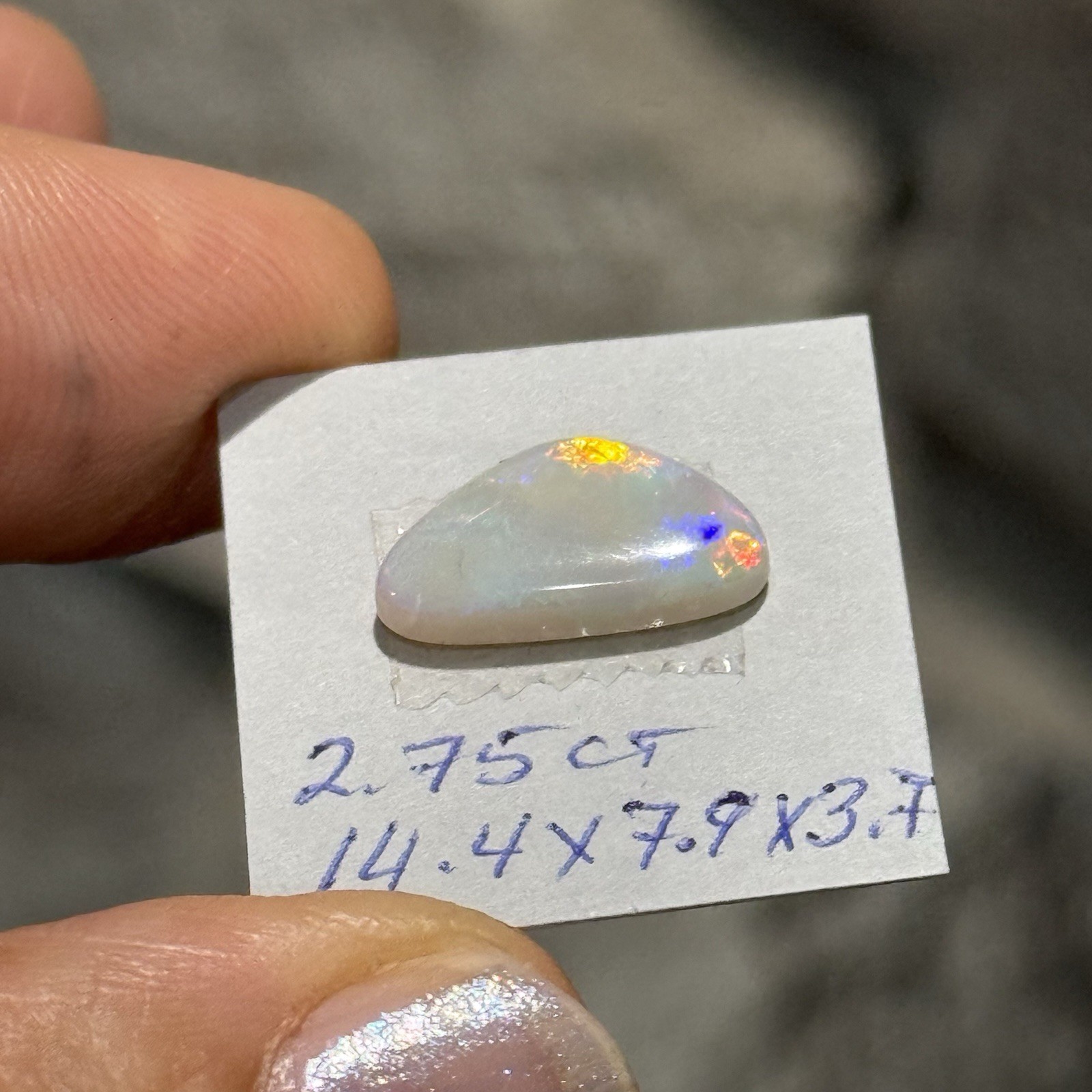 2.75ct 14.4×7.9×3.7mm Lightning Ridge Australian Crystal Opal Cabochon Gem