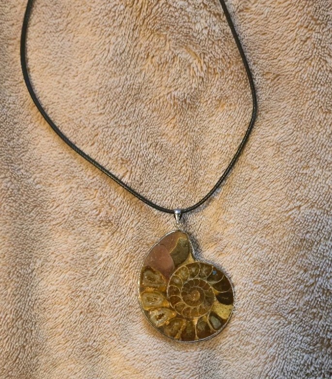 Genuine Ammonite Fossil Pendant Sterling Silver Sliced Polished Crystal Agate