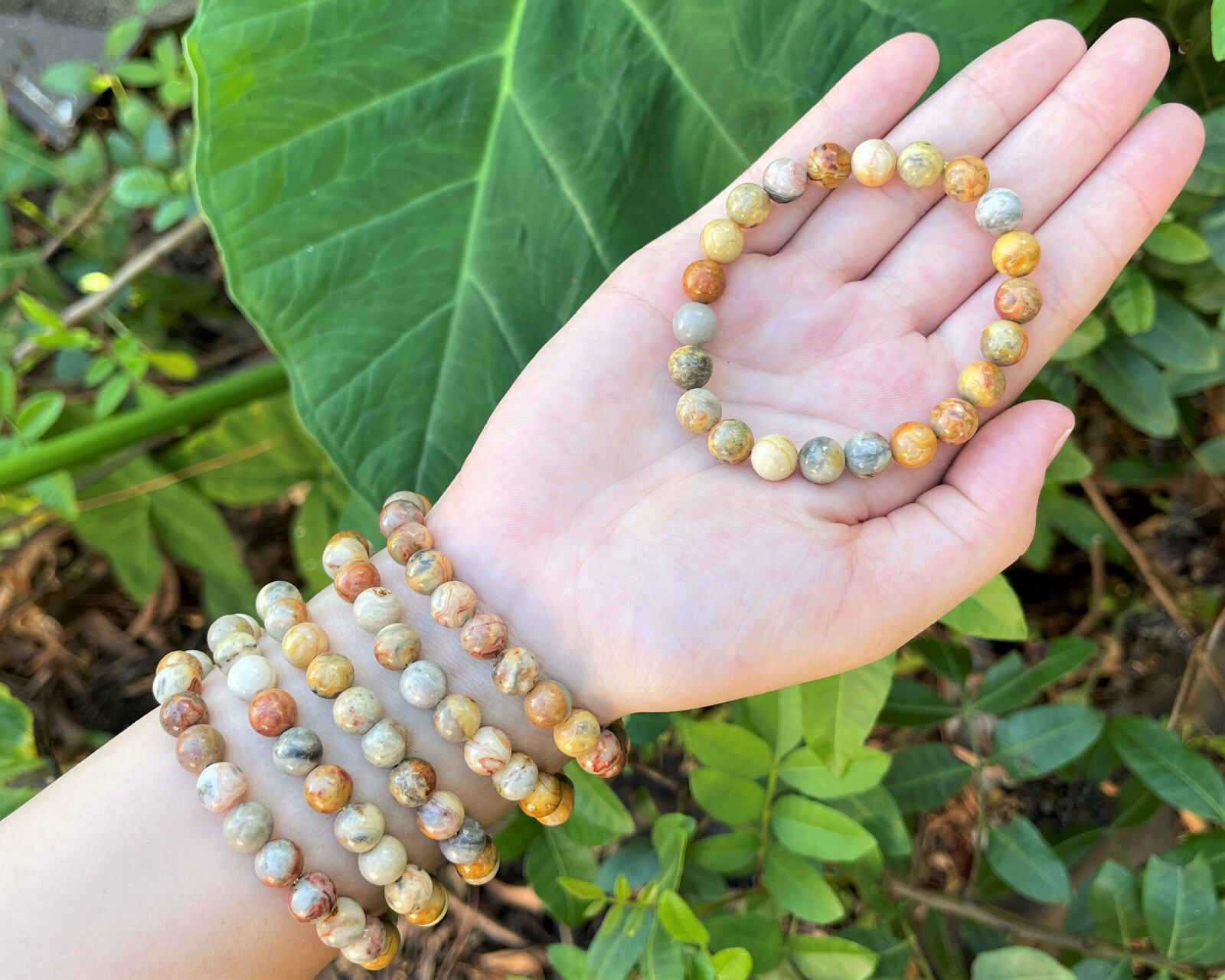 Crazy Lace Agate Bead Bracelet – 8mm Crystal Bracelet – Genuine Gemstone Jewelry