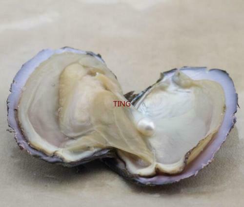 1/5/10/25/100pcs DIY Individually Wrapped Oysters with Large Pearls Gift 7-8MM