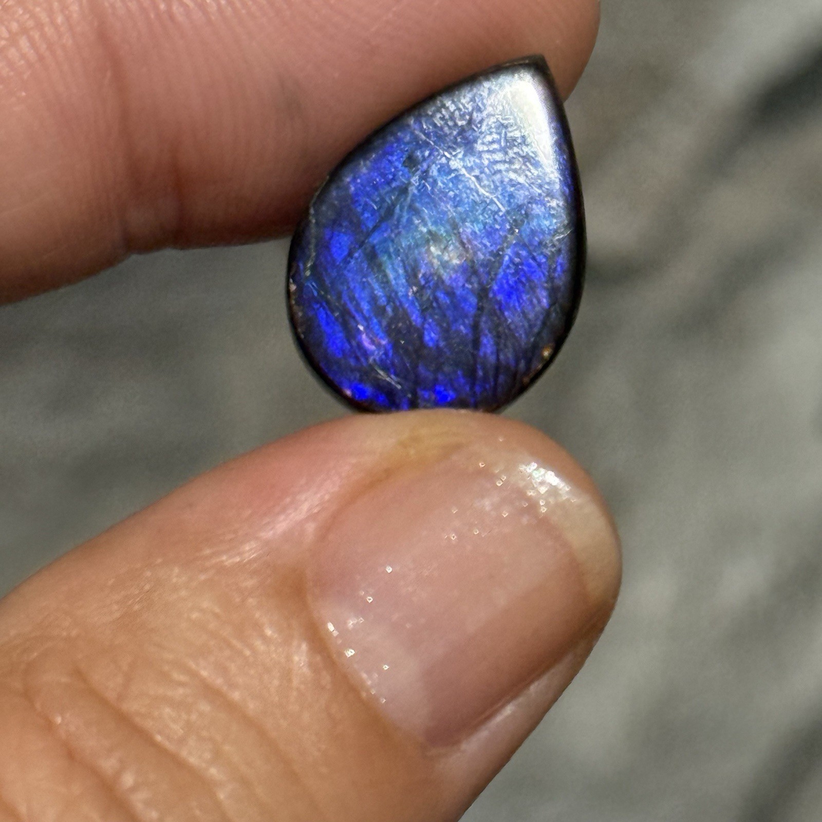10.6ct 18x13x5mm Genuine Purple Ammolite Teardrop Cabochon Gem
